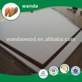 construction plywood / building template / building construction materials